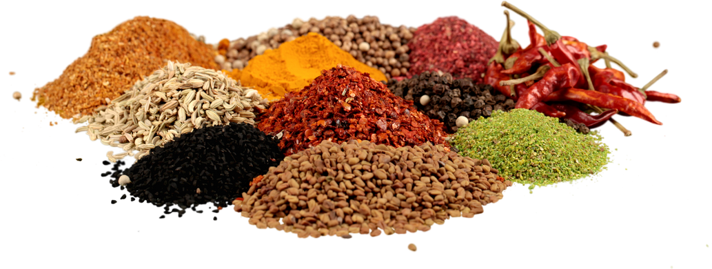 Variety of Dried Spice - Isolated